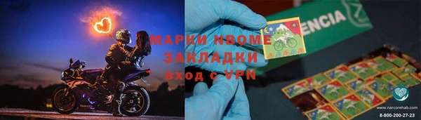 стафф Кодинск
