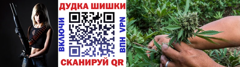 Шишки марихуана Amnesia где продают наркотики Киреевск